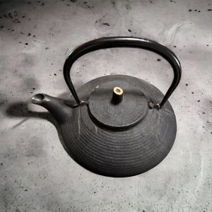 Iwachu Tersubin-Dragonfly Cast Iron Kettle